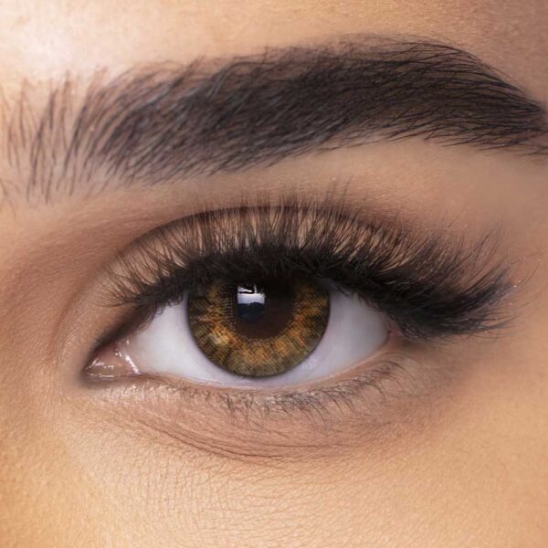Freshlook One Day Color Pure Hazel with Power