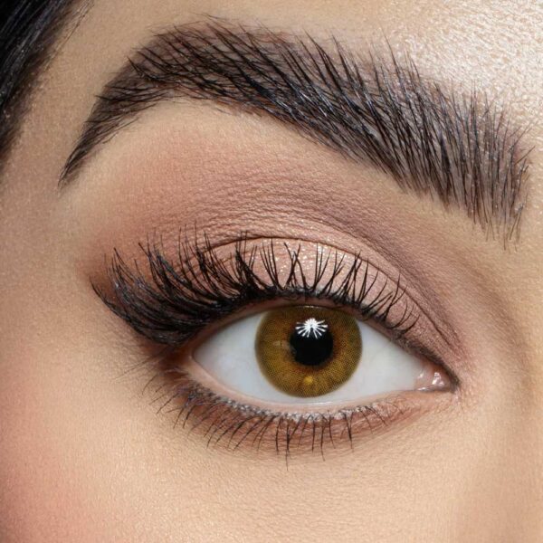 SAMA  Daily Lens Pistachio