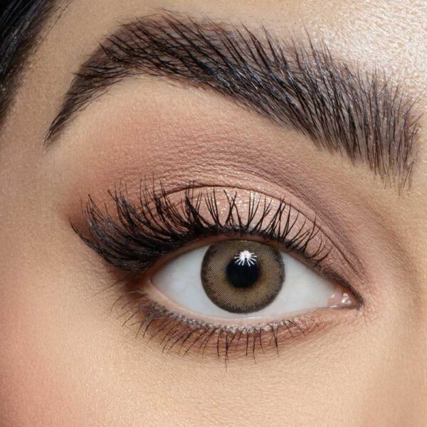 SAMA  Daily Lens Smokey Lun